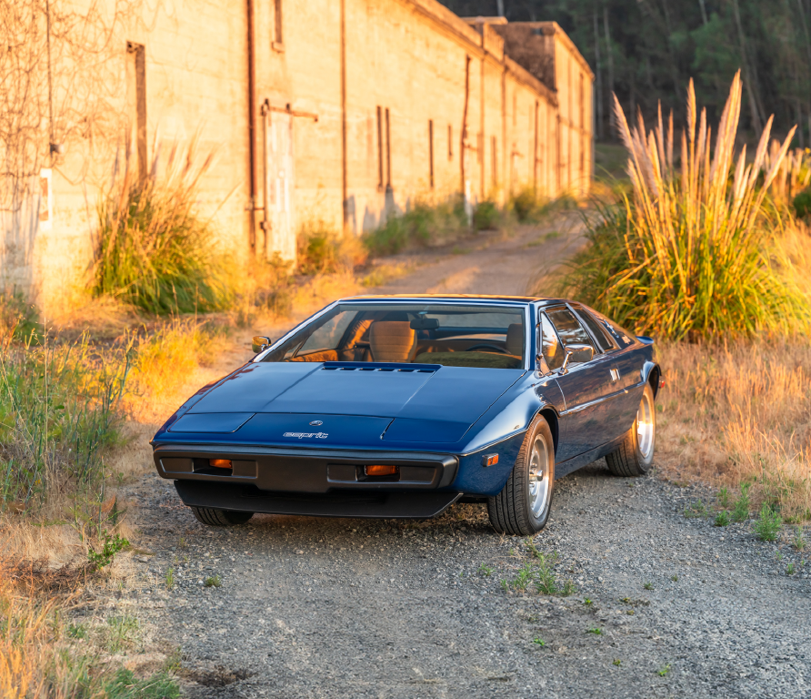 6698671a01179aefb3abbb3f_Lotus